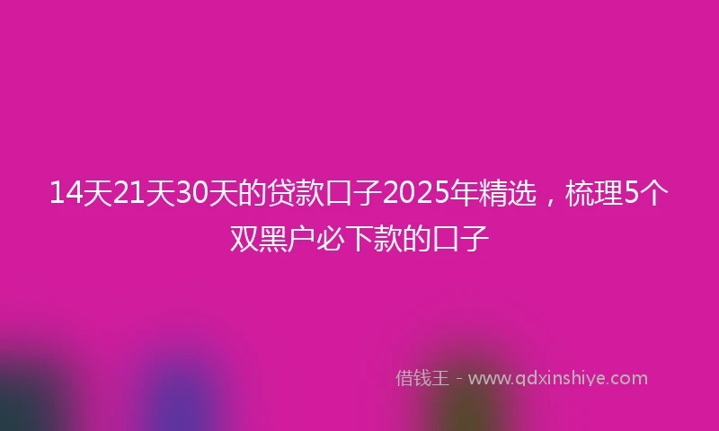14天21天30天的贷款口子2025年精选，梳理5个双黑户必下款的口子