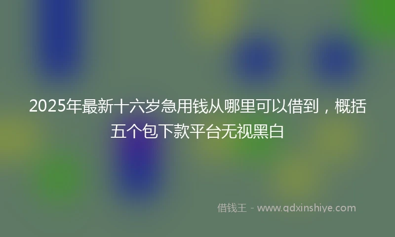 2025年最新十六岁急用钱从哪里可以借到，概括五个包下款平台无视黑白