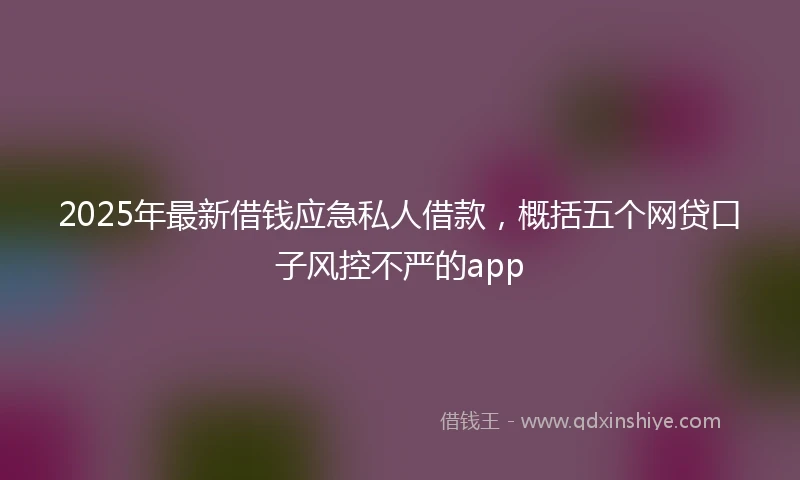 2025年最新借钱应急私人借款，概括五个网贷口子风控不严的app
