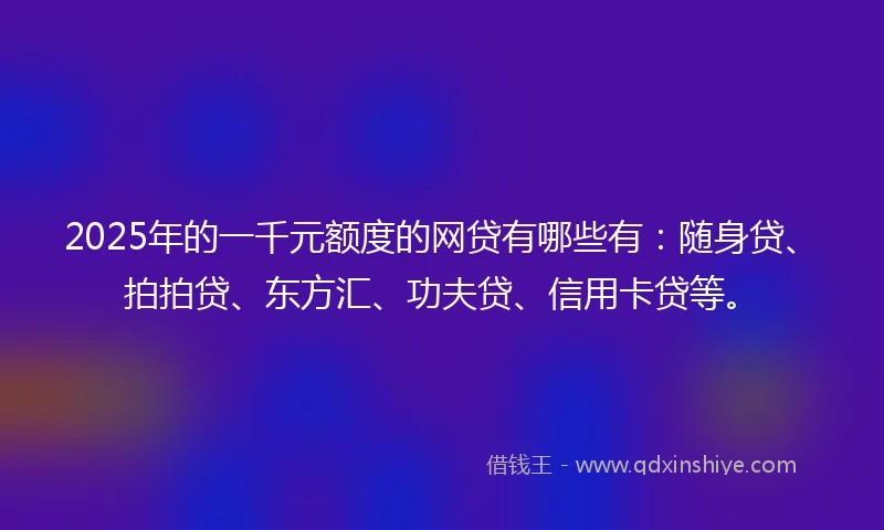 2025年的一千元额度的网贷有哪些有：随身贷、拍拍贷、东方汇、功夫贷、信用卡贷等。