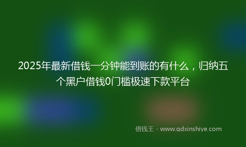 2025年最新借钱一分钟能到账的有什么，归纳五个黑户借钱0门槛极速下款平台