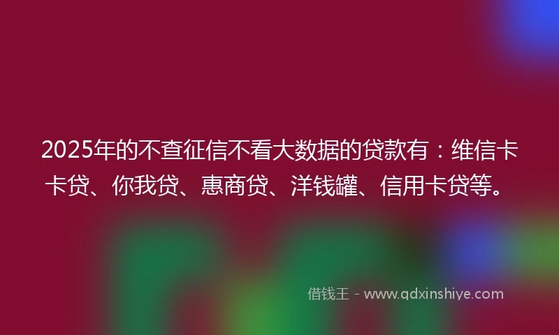 2025年的不查征信不看大数据的贷款有：维信卡卡贷、你我贷、惠商贷、洋钱罐、信用卡贷等。