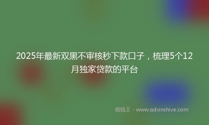2025年最新双黑不审核秒下款口子，梳理5个12月独家贷款的平台