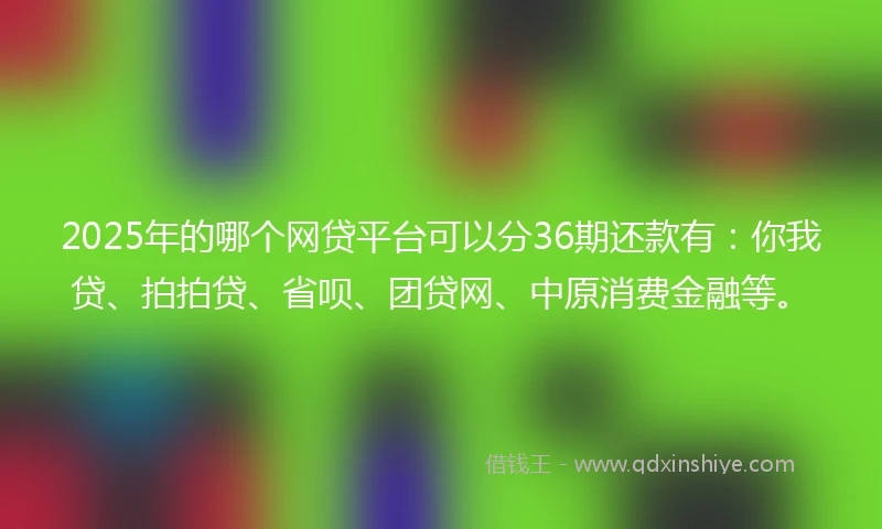 2025年的哪个网贷平台可以分36期还款有：你我贷、拍拍贷、省呗、团贷网、中原消费金融等。