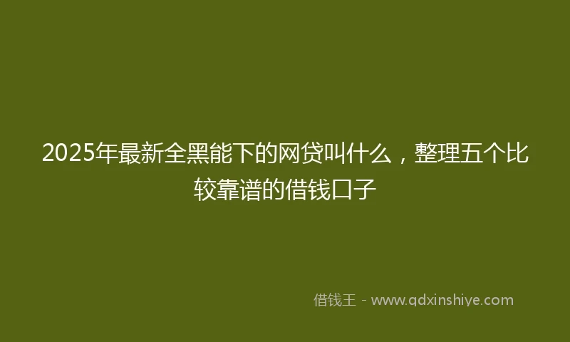 2025年最新全黑能下的网贷叫什么，整理五个比较靠谱的借钱口子