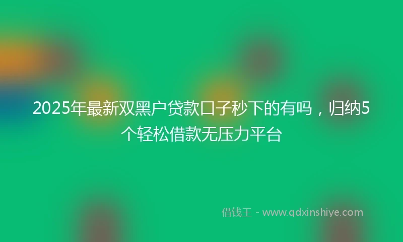 2025年最新双黑户贷款口子秒下的有吗，归纳5个轻松借款无压力平台