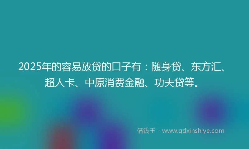 2025年的容易放贷的口子有：随身贷、东方汇、超人卡、中原消费金融、功夫贷等。