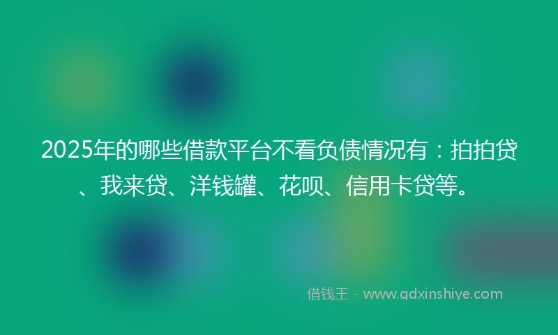 2025年的哪些借款平台不看负债情况有：拍拍贷、我来贷、洋钱罐、花呗、信用卡贷等。