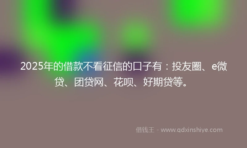 2025年的借款不看征信的口子有：投友圈、e微贷、团贷网、花呗、好期贷等。