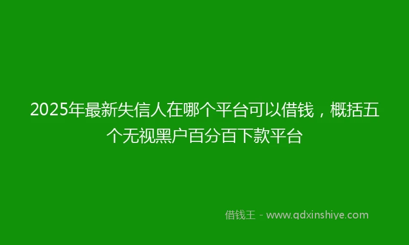 2025年最新失信人在哪个平台可以借钱，概括五个无视黑户百分百下款平台