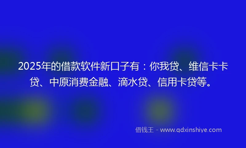 2025年的借款软件新口子有：你我贷、维信卡卡贷、中原消费金融、滴水贷、信用卡贷等。