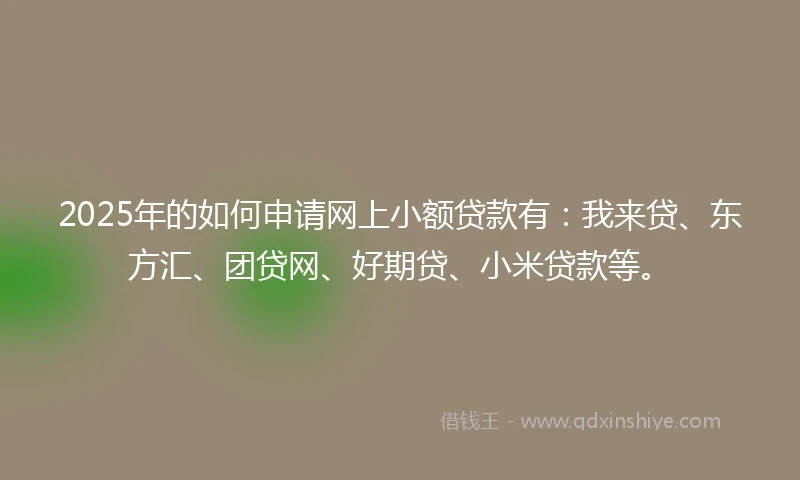 2025年的如何申请网上小额贷款有：我来贷、东方汇、团贷网、好期贷、小米贷款等。