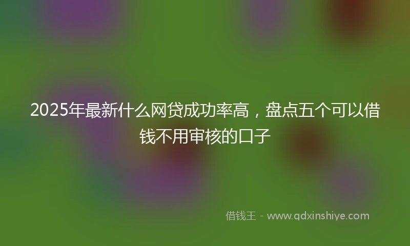 2025年最新什么网贷成功率高，盘点五个可以借钱不用审核的口子