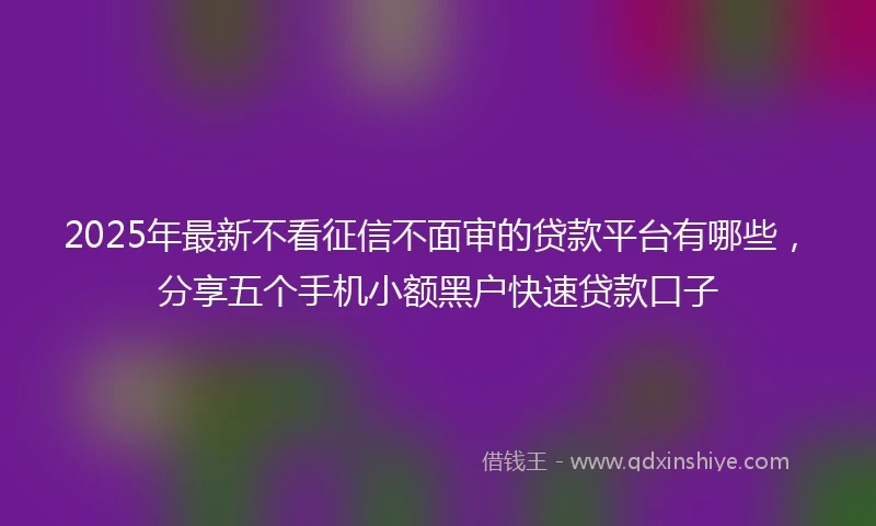 2025年最新不看征信不面审的贷款平台有哪些，分享五个手机小额黑户快速贷款口子
