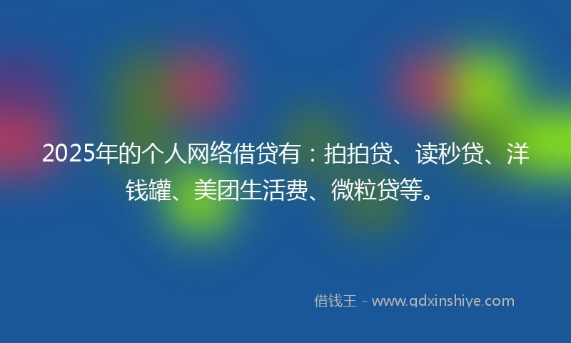 2025年的个人网络借贷有：拍拍贷、读秒贷、洋钱罐、美团生活费、微粒贷等。
