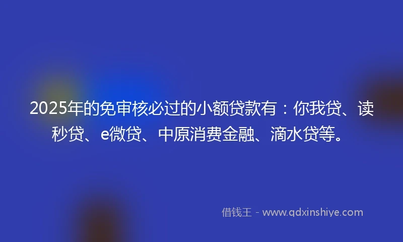 2025年的免审核必过的小额贷款有：你我贷、读秒贷、e微贷、中原消费金融、滴水贷等。