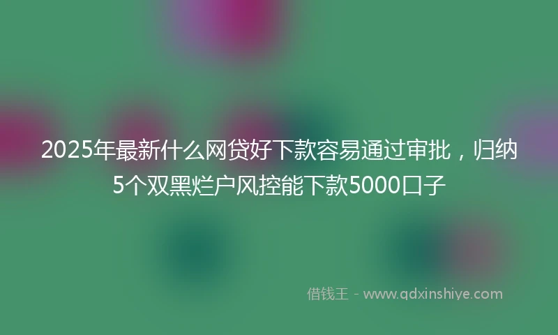 2025年最新什么网贷好下款容易通过审批，归纳5个双黑烂户风控能下款5000口子
