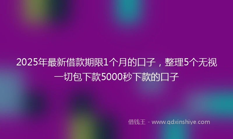 2025年最新借款期限1个月的口子，整理5个无视一切包下款5000秒下款的口子