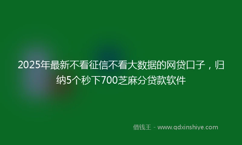2025年最新不看征信不看大数据的网贷口子，归纳5个秒下700芝麻分贷款软件