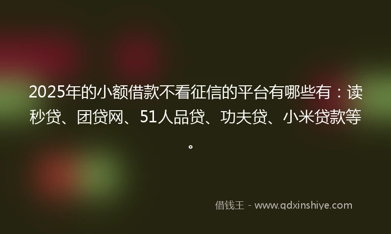 2025年的小额借款不看征信的平台有哪些有：读秒贷、团贷网、51人品贷、功夫贷、小米贷款等。