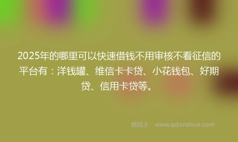 2025年的哪里可以快速借钱不用审核不看征信的平台有：洋钱罐、维信卡卡贷、小花钱包、好期贷、信用卡贷等。