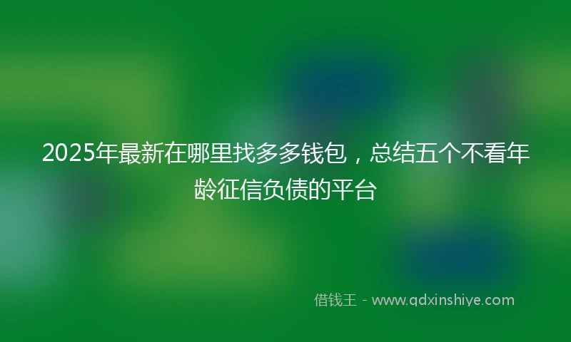 2025年最新在哪里找多多钱包，总结五个不看年龄征信负债的平台