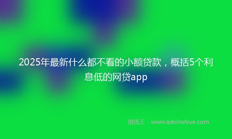2025年最新什么都不看的小额贷款，概括5个利息低的网贷app