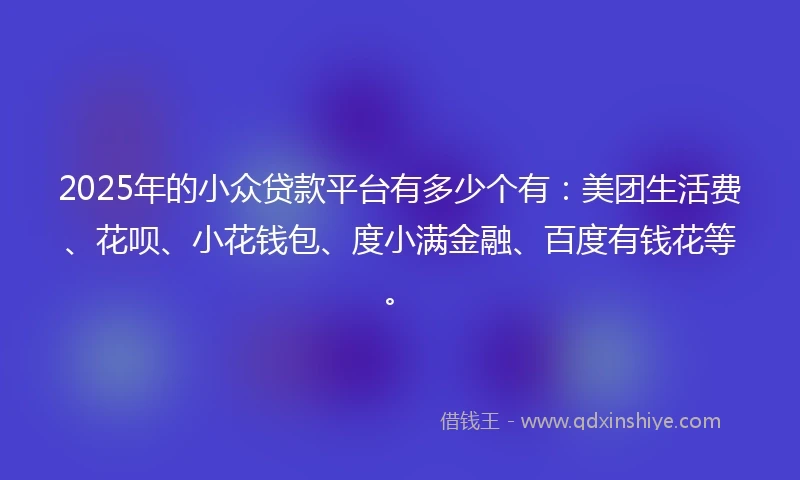 2025年的小众贷款平台有多少个有：美团生活费、花呗、小花钱包、度小满金融、百度有钱花等。