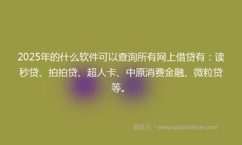 2025年的什么软件可以查询所有网上借贷有：读秒贷、拍拍贷、超人卡、中原消费金融、微粒贷等。