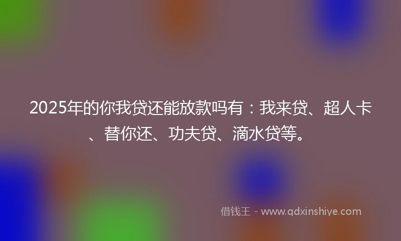 2025年的你我贷还能放款吗有：我来贷、超人卡、替你还、功夫贷、滴水贷等。