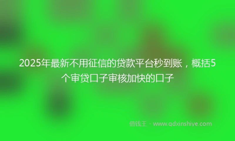 2025年最新不用征信的贷款平台秒到账，概括5个审贷口子审核加快的口子