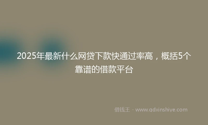 2025年最新什么网贷下款快通过率高，概括5个靠谱的借款平台