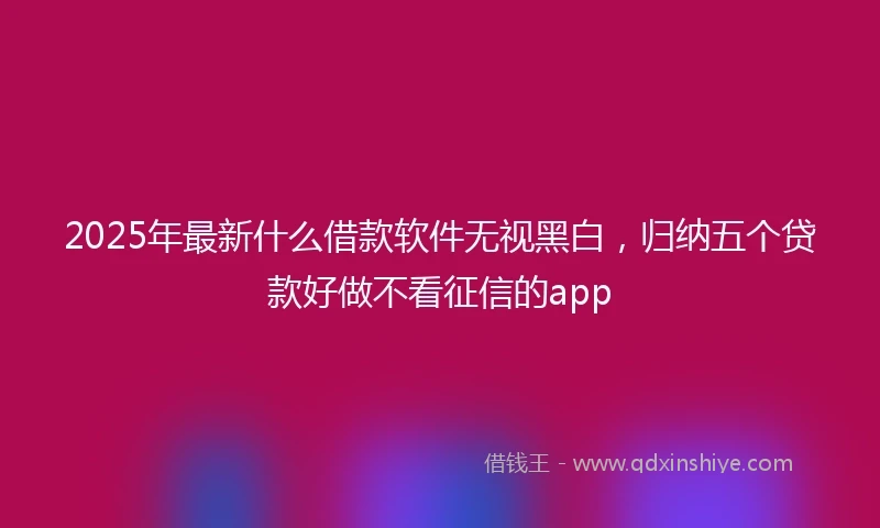 2025年最新什么借款软件无视黑白，归纳五个贷款好做不看征信的app