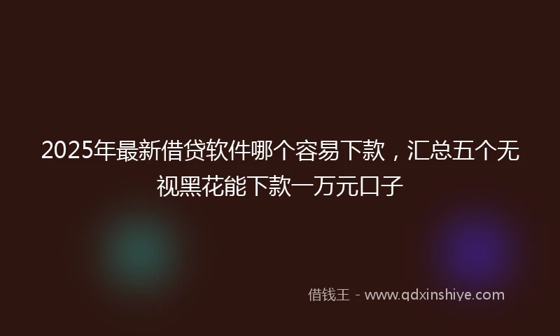 2025年最新借贷软件哪个容易下款，汇总五个无视黑花能下款一万元口子