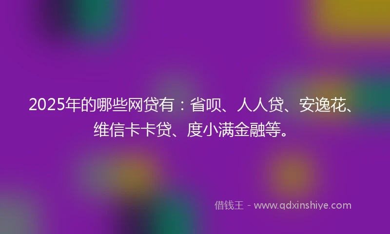 2025年的哪些网贷有：省呗、人人贷、安逸花、维信卡卡贷、度小满金融等。