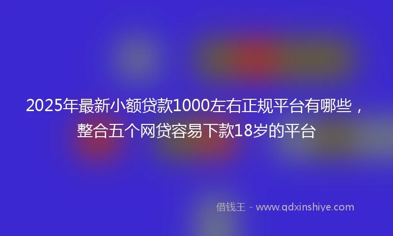 2025年最新小额贷款1000左右正规平台有哪些，整合五个网贷容易下款18岁的平台