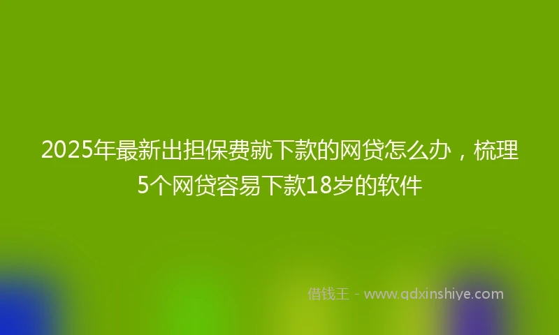 2025年最新出担保费就下款的网贷怎么办，梳理5个网贷容易下款18岁的软件