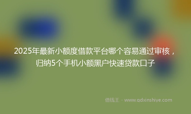 2025年最新小额度借款平台哪个容易通过审核，归纳5个手机小额黑户快速贷款口子