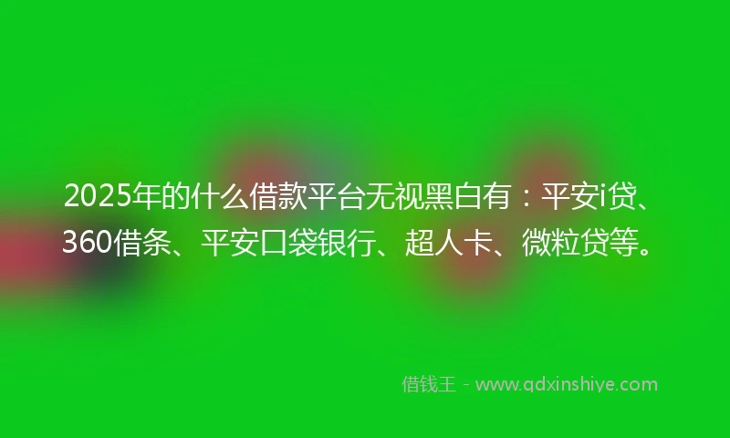 2025年的什么借款平台无视黑白有：平安i贷、360借条、平安口袋银行、超人卡、微粒贷等。