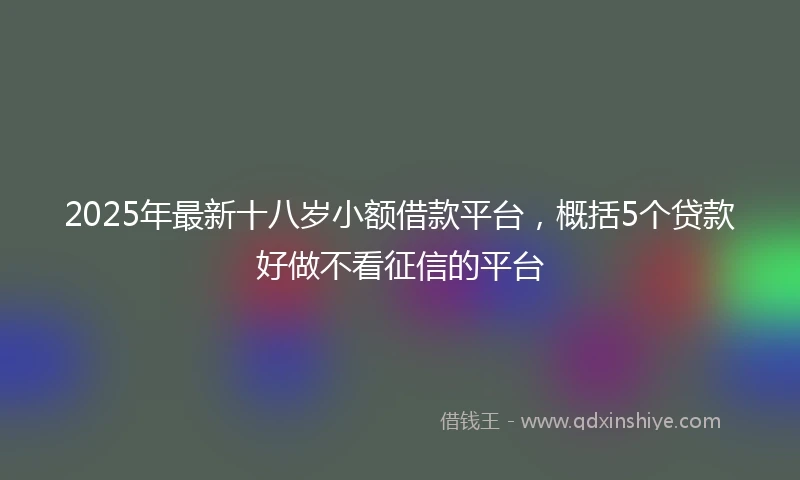 2025年最新十八岁小额借款平台，概括5个贷款好做不看征信的平台