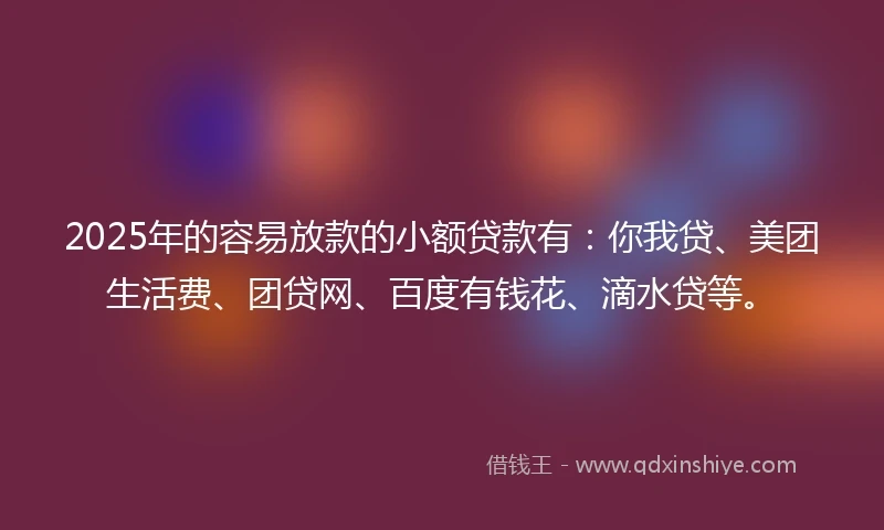 2025年的容易放款的小额贷款有：你我贷、美团生活费、团贷网、百度有钱花、滴水贷等。