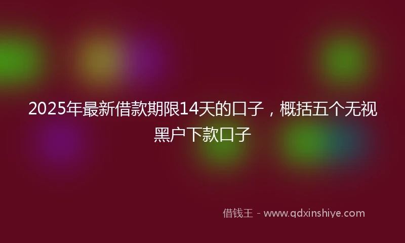 2025年最新借款期限14天的口子，概括五个无视黑户下款口子