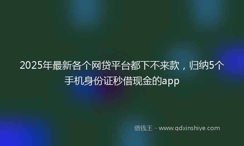 2025年最新各个网贷平台都下不来款，归纳5个手机身份证秒借现金的app