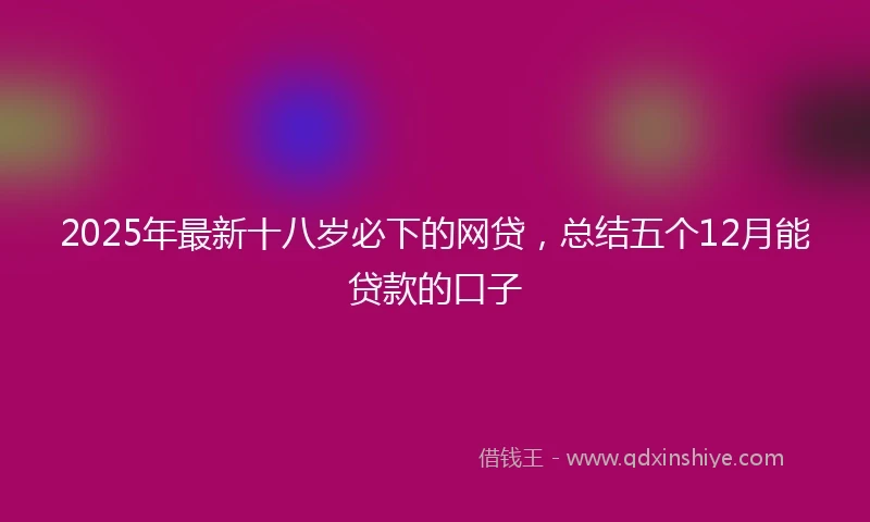 2025年最新十八岁必下的网贷，总结五个12月能贷款的口子