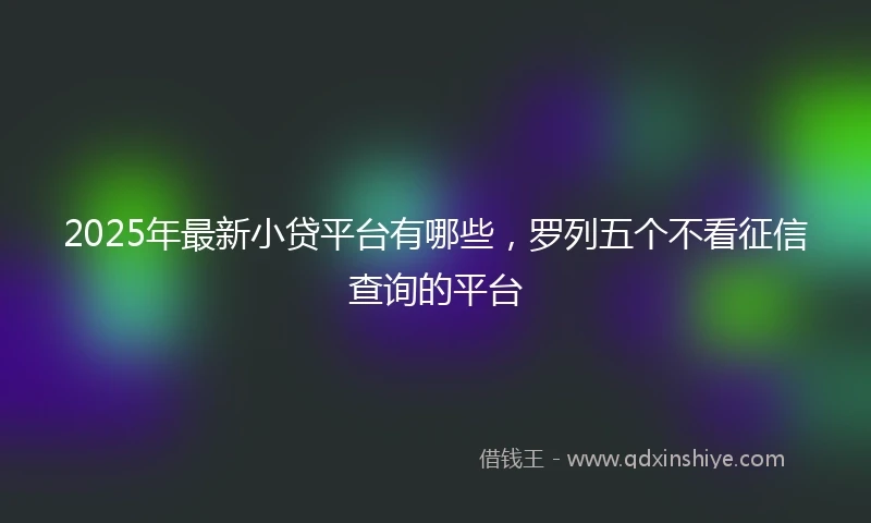 2025年最新小贷平台有哪些，罗列五个不看征信查询的平台