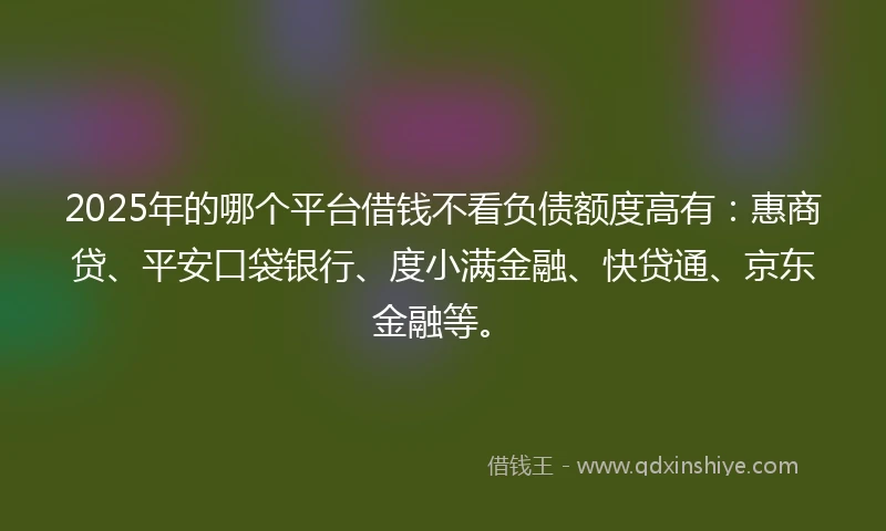 2025年的哪个平台借钱不看负债额度高有：惠商贷、平安口袋银行、度小满金融、快贷通、京东金融等。