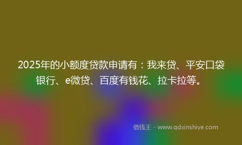 2025年的小额度贷款申请有：我来贷、平安口袋银行、e微贷、百度有钱花、拉卡拉等。