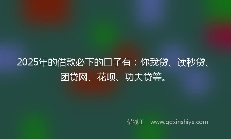 2025年的借款必下的口子有：你我贷、读秒贷、团贷网、花呗、功夫贷等。