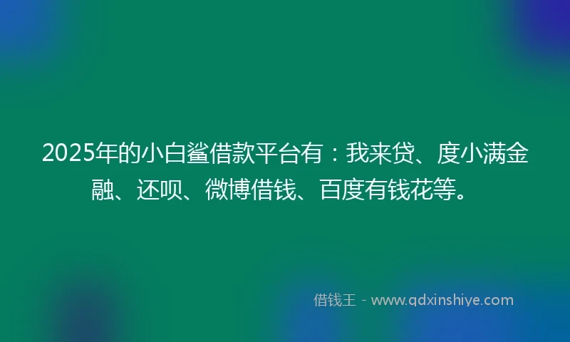 2025年的小白鲨借款平台有：我来贷、度小满金融、还呗、微博借钱、百度有钱花等。