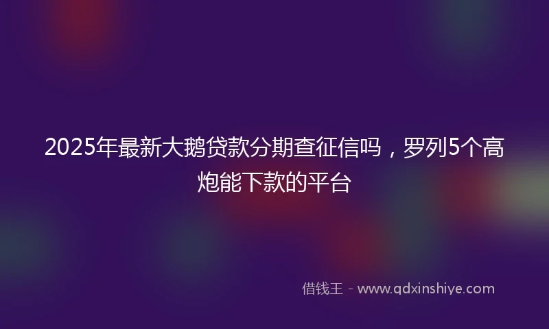 2025年最新大鹅贷款分期查征信吗，罗列5个高炮能下款的平台